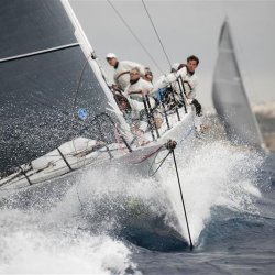 ALEGRE_szembol_By Rolex Kurt Arrigo